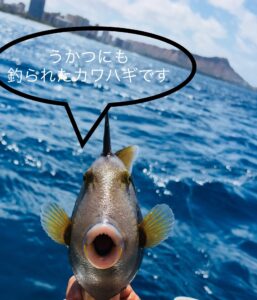 yellow_lip_fish
