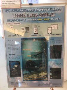 リンネレンズ
