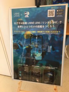リンネレンズ