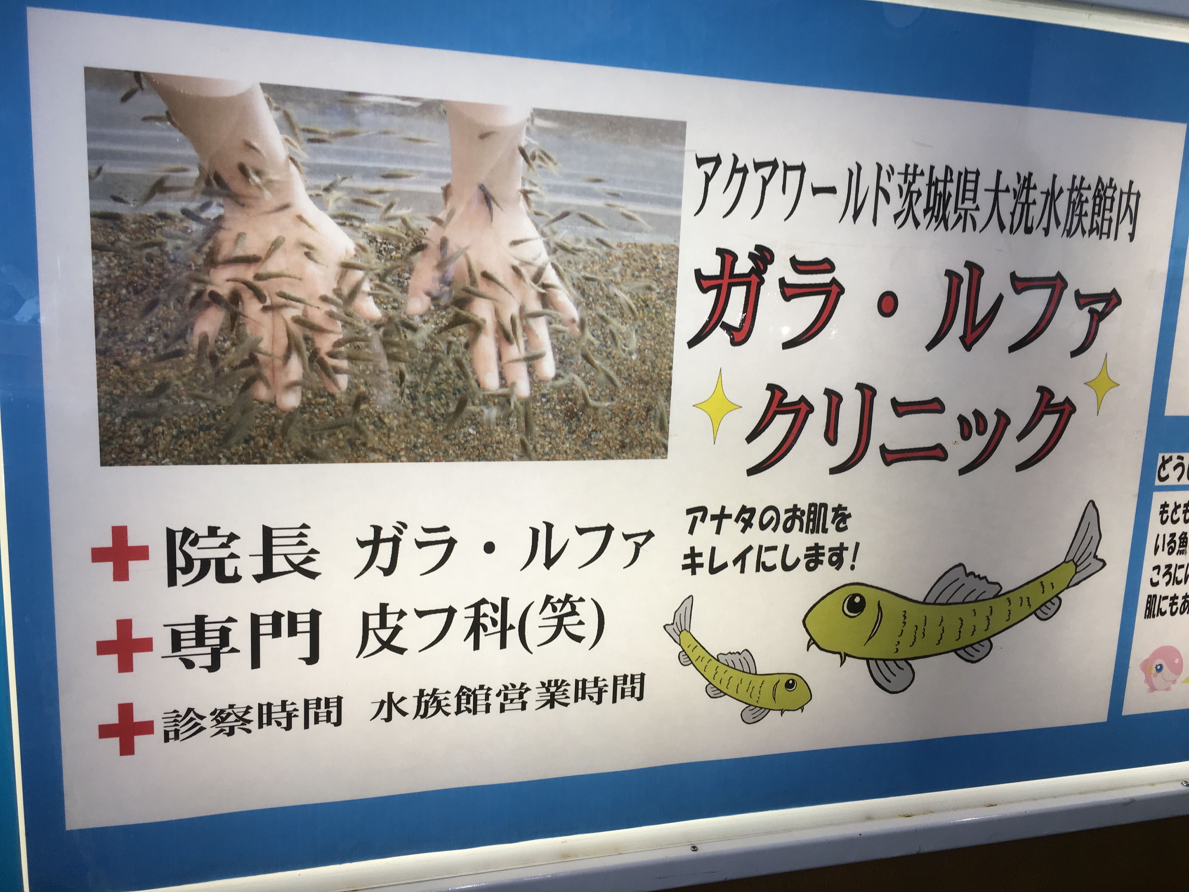ガラ・ルファ、角質を食べてくれるお魚の看板